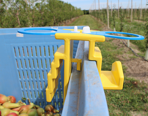 raccolta frutta a modena